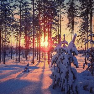 人与兽特级性交神兽特技性交
